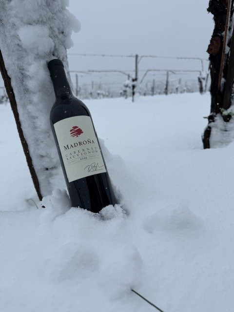 A bottle of Madroña wine standing in deep snow between the vines