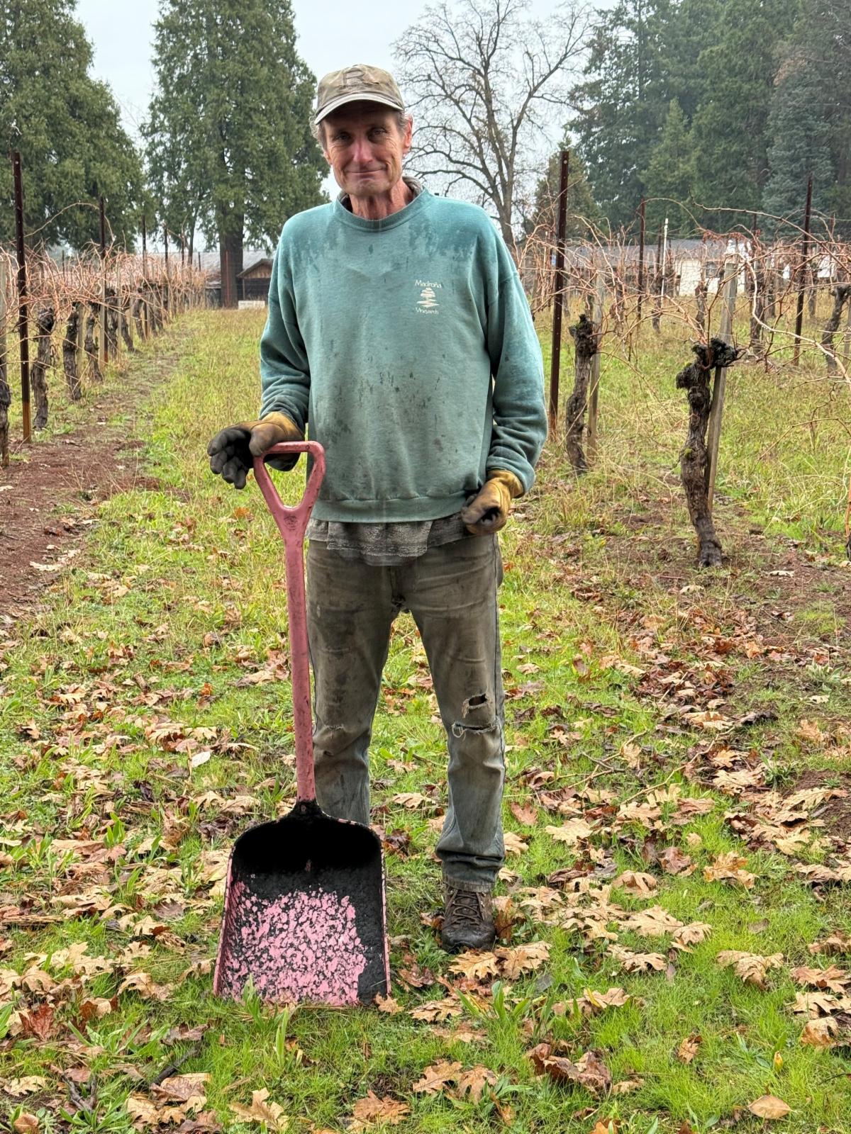 Paul standing between the vine rows holding a shovel over a wheelbarrow of compost