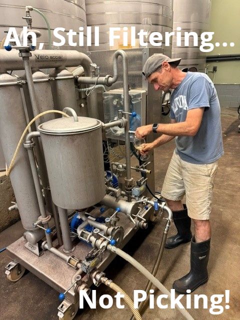 Paul working at a wine filter in the winery. Text on the photo reads Ah, Still Filtering... Not Picking!