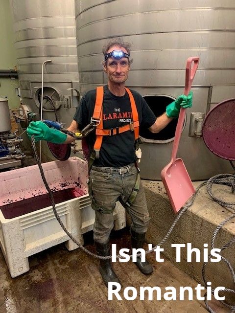 Paul in the winery in rubber gloves and a headlamp, holding a pink punch-down tool beside a bin of red grapes. Text on the photo reads Isn't This Romantic